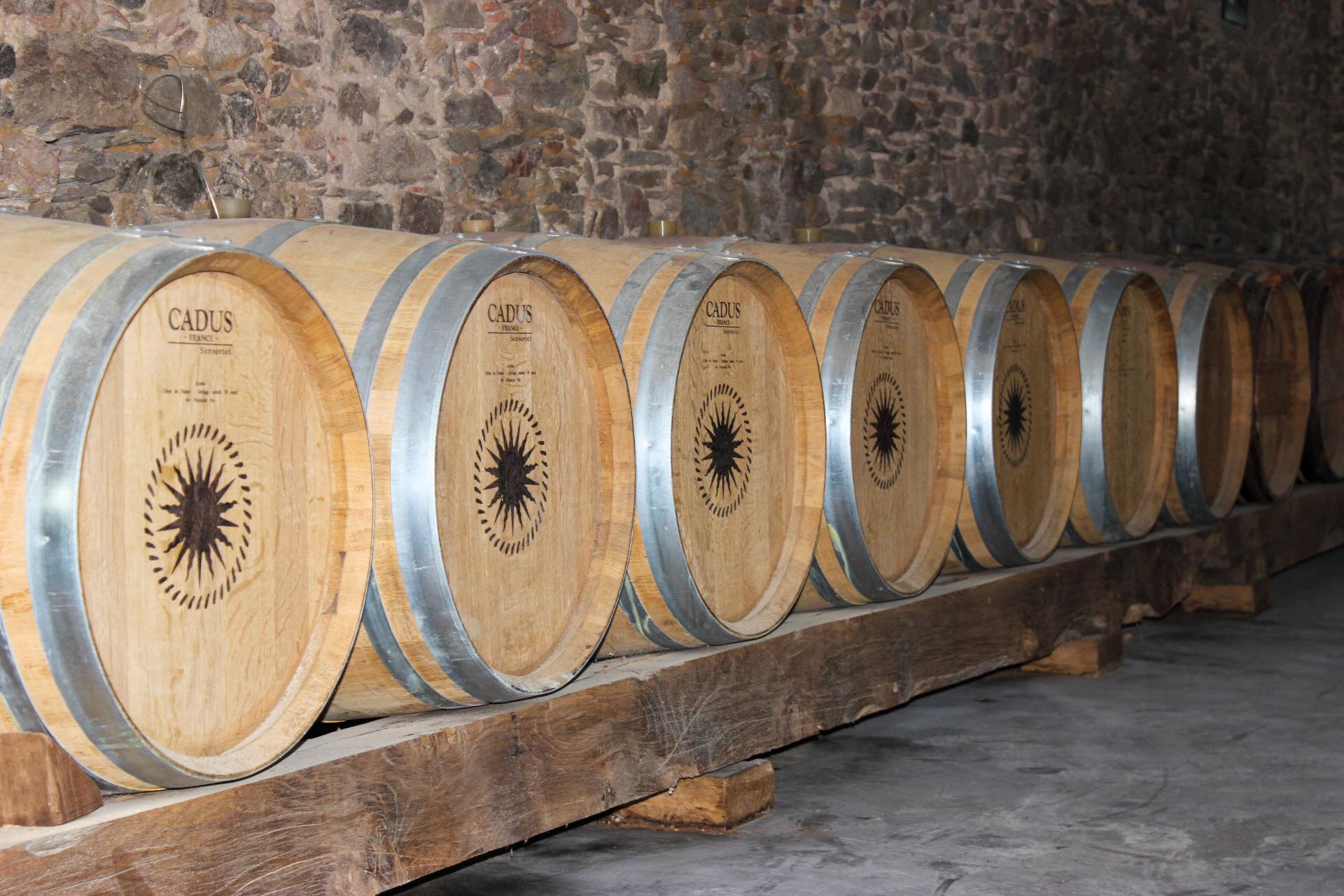 Salle de dégustation de Gaël CROCHET, vigneron à Brem-sur-Mer