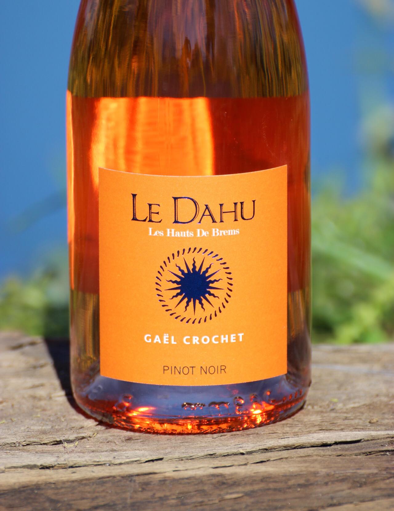 Vins de Gaël CROCHET, vigneron à Brem-sur-Mer